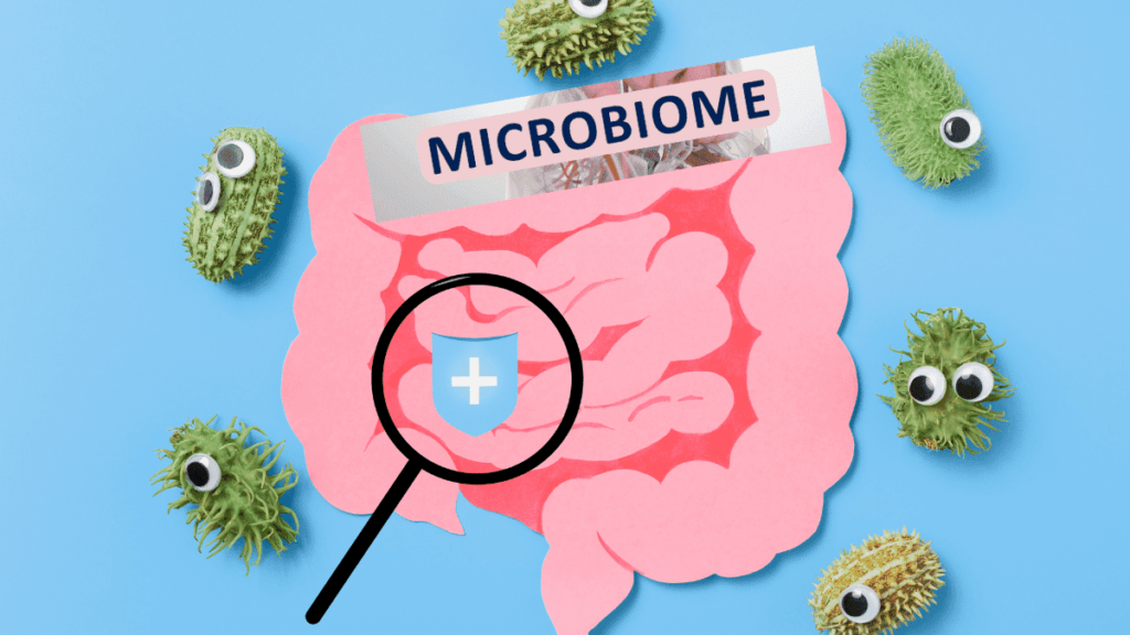 gut microbiome